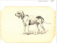 Galerie dessins